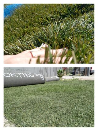 Césped artificial reciclado ♻️