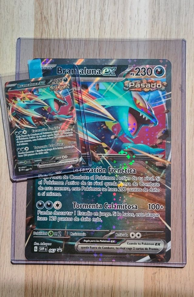 TopLoader cartas Jumbo