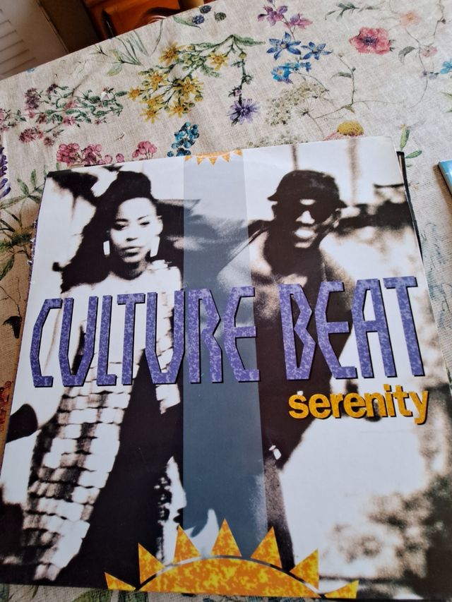 Disco de vinilo 5 euros cada uno