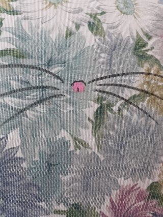 Cuccia gatto grande 60x45x15  