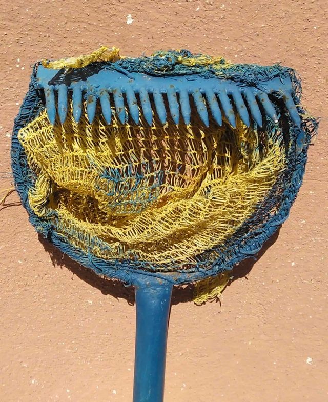 ❤️ RECOGEDOR FRUTA HIERRO AZUL, MANGO MADERA