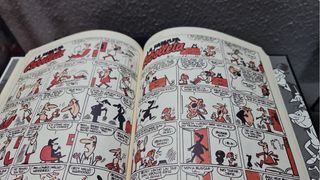 La familia Cebolleta