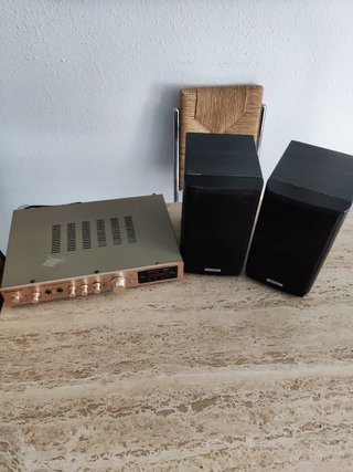 amplificador karaoke