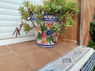 3 macetas barro ceramica flor