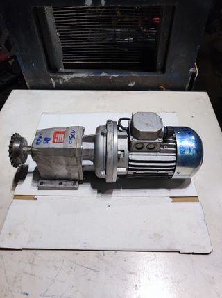 Motor reductor 220v