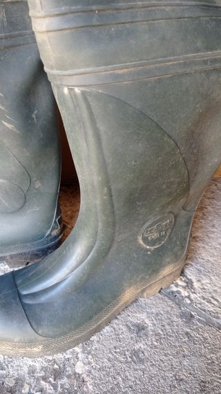 Botas de goma
