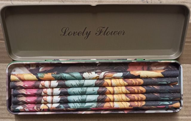 Estuche / Plumier + 5 lápices  NUEVOS