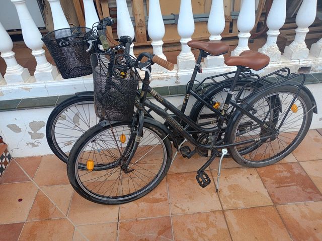 Due biciclette grandi BERG classic crosstown