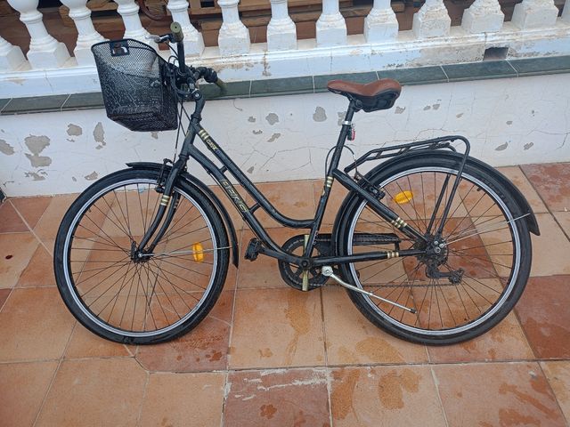 Due biciclette grandi BERG classic crosstown