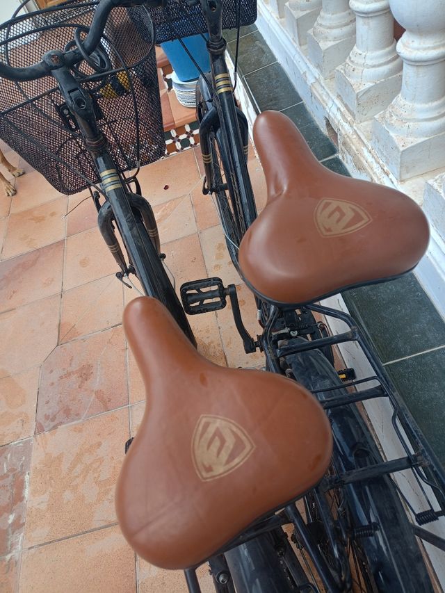 Due biciclette grandi BERG classic crosstown