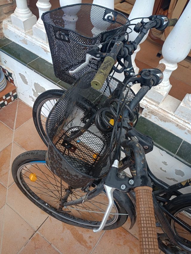 Due biciclette grandi BERG classic crosstown