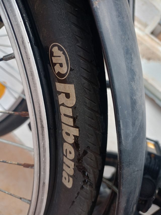 Due biciclette grandi BERG classic crosstown