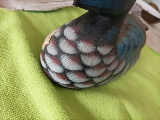 Tre papere legno porta fortuna