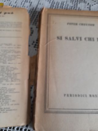 Si salvi chi può