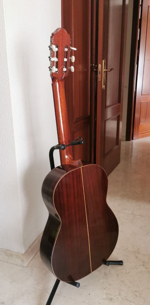 Guitarra Raimundo