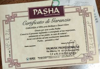 Pasha Clatter Crash 24"