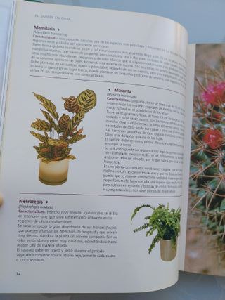 El gran libro de jardinería