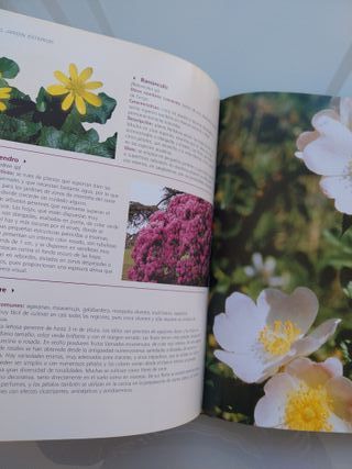 El gran libro de jardinería