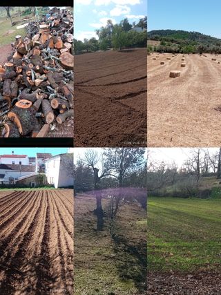 Trabajos agrícola, jardinería y forestal