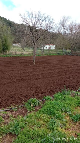 Trabajos agrícola, jardinería y forestal