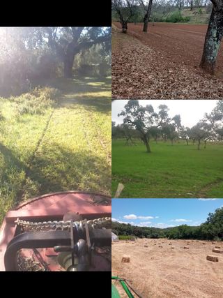 Trabajos agrícola, jardinería y forestal