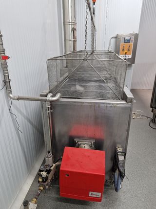 Peleadora Ranger apollo