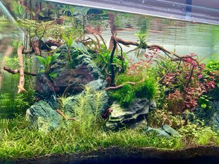 ACUARIO OPTICO COMPLETO. OASE SCAPERLINE 90 180L