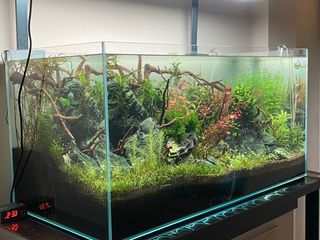 ACUARIO OPTICO COMPLETO. OASE SCAPERLINE 90 180L
