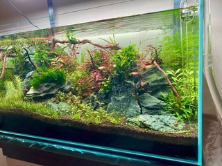 ACUARIO OPTICO COMPLETO. OASE SCAPERLINE 90 180L