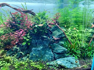 ACUARIO OPTICO COMPLETO. OASE SCAPERLINE 90 180L