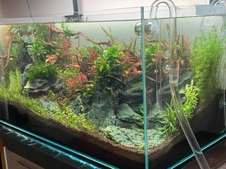ACUARIO OPTICO COMPLETO. OASE SCAPERLINE 90 180L