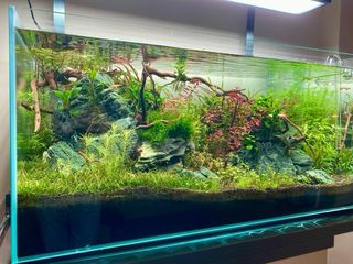 ACUARIO OPTICO COMPLETO. OASE SCAPERLINE 90 180L