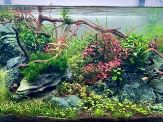 ACUARIO OPTICO COMPLETO. OASE SCAPERLINE 90 180L