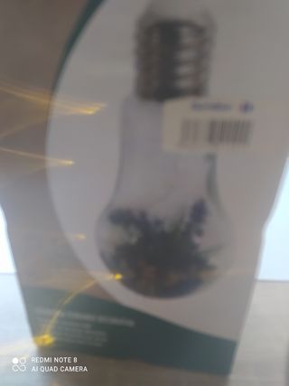 Adorno mini jardín con luz