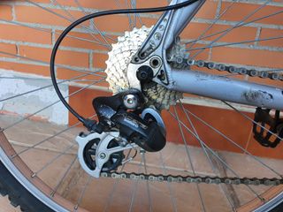 Bicicleta Orbea Fesh-Fesh