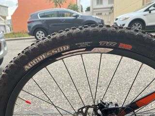 Mtb Canyon strive all