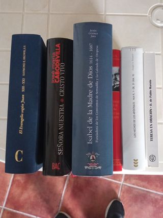 Lote de libros religiosos BAC