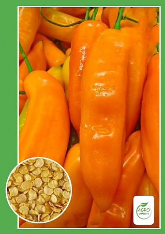 Semillas de pimiento "Cuerno de oro" (10 unidades)