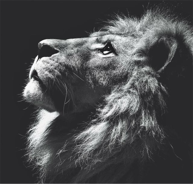 Plan de entrenamiento personal