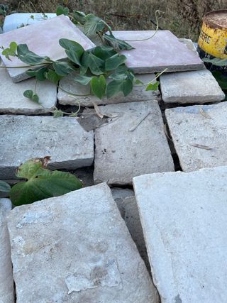 Losas de piedra