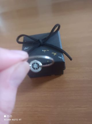 Anillo de plata de ley