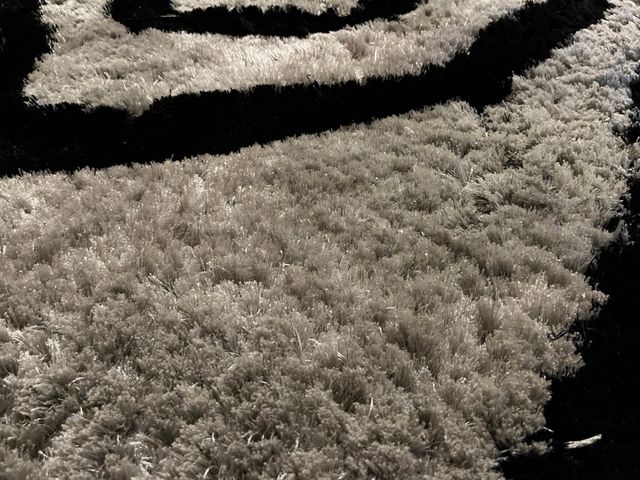 Alfombra de pelo gris