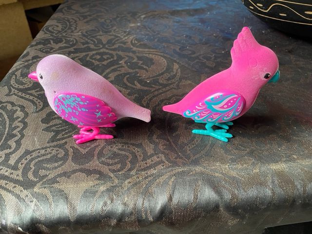 Live pets: dos pájaros