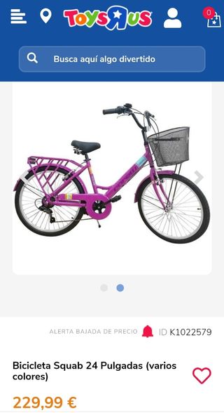 Bicicleta Squab 24 Pulgadas