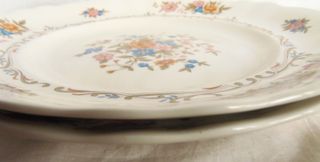 Pontesa. 2 platos llanos. Vintage