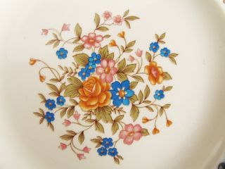 Pontesa. 2 platos llanos. Vintage