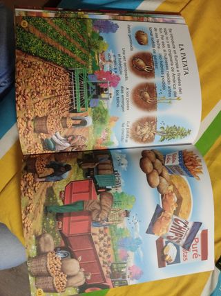 Animales del mundo