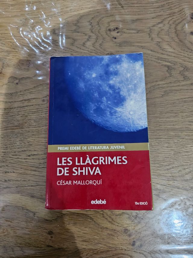 I pellegrini di Shiva