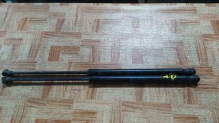 Amortiguadores portón Leon 2