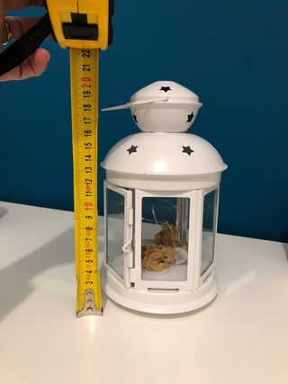 10 lanterne bianche porta candela